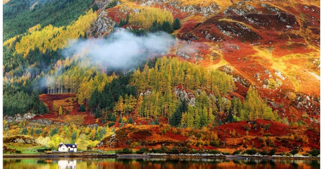 زیباترین مناطق دنیا برای دیدن برگ های پاییزی