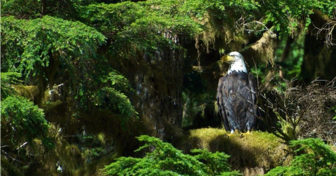 بهترین مکان ها برای ماجراجویی در طبیعت